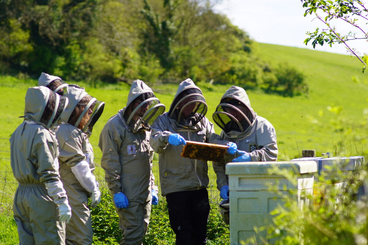 Beekeeping