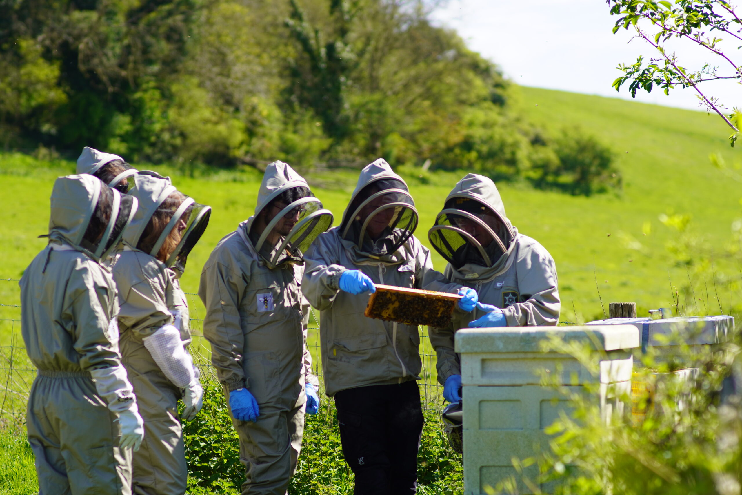 Beekeeping
