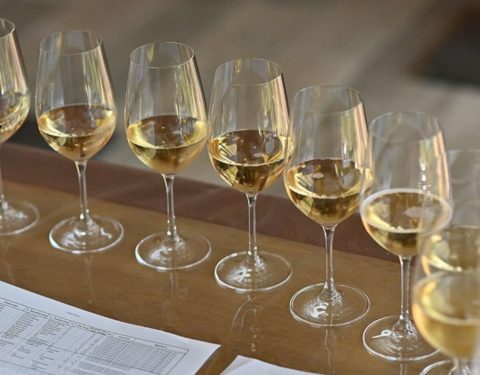 Image showing a row of glasses filled with sparkling wine being judged at the WineGB Awards