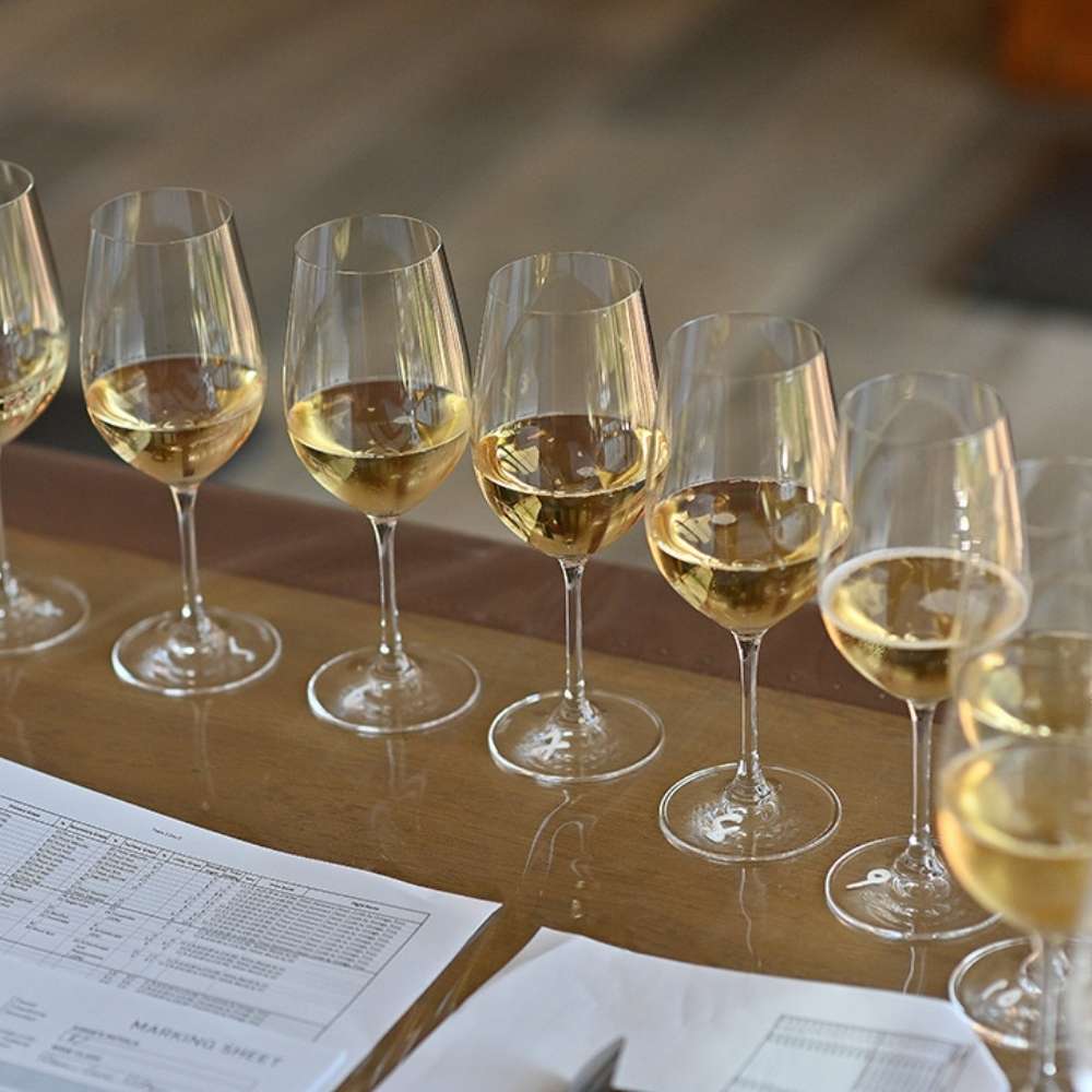 Image showing a row of glasses filled with sparkling wine being judged at the WineGB Awards