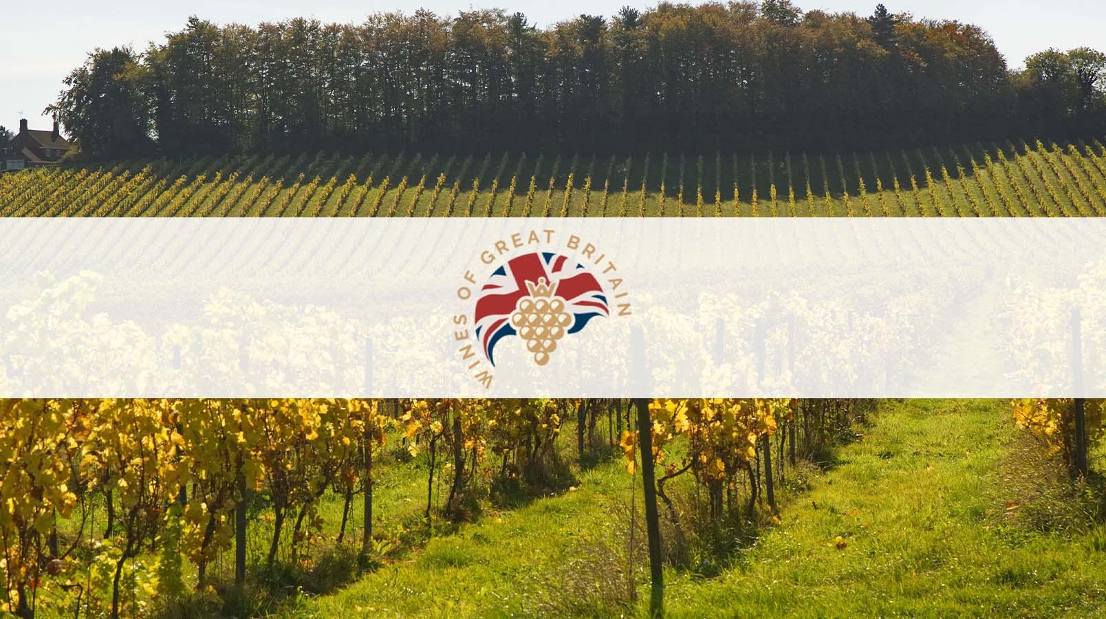 English Wine Festival at Amps Wine Merchant With Lyme Bay Wine WineGB