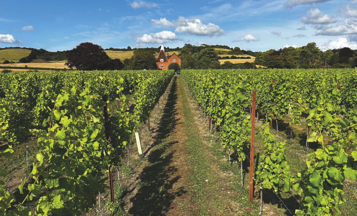 Oak Creative owned pic