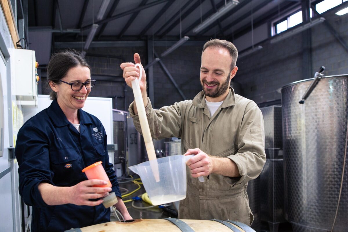 Plumpton Wine Course