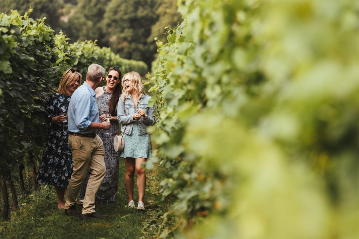 Simpsons wine tourists