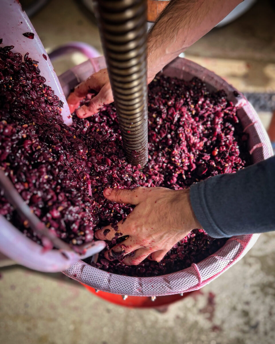 Harrow and Hope winemaking