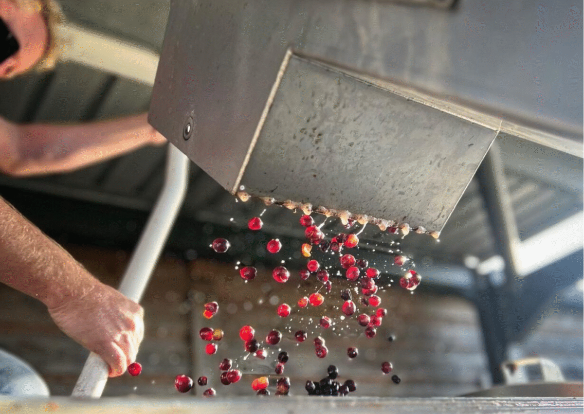 Harvest 2023 Harvest Report Image