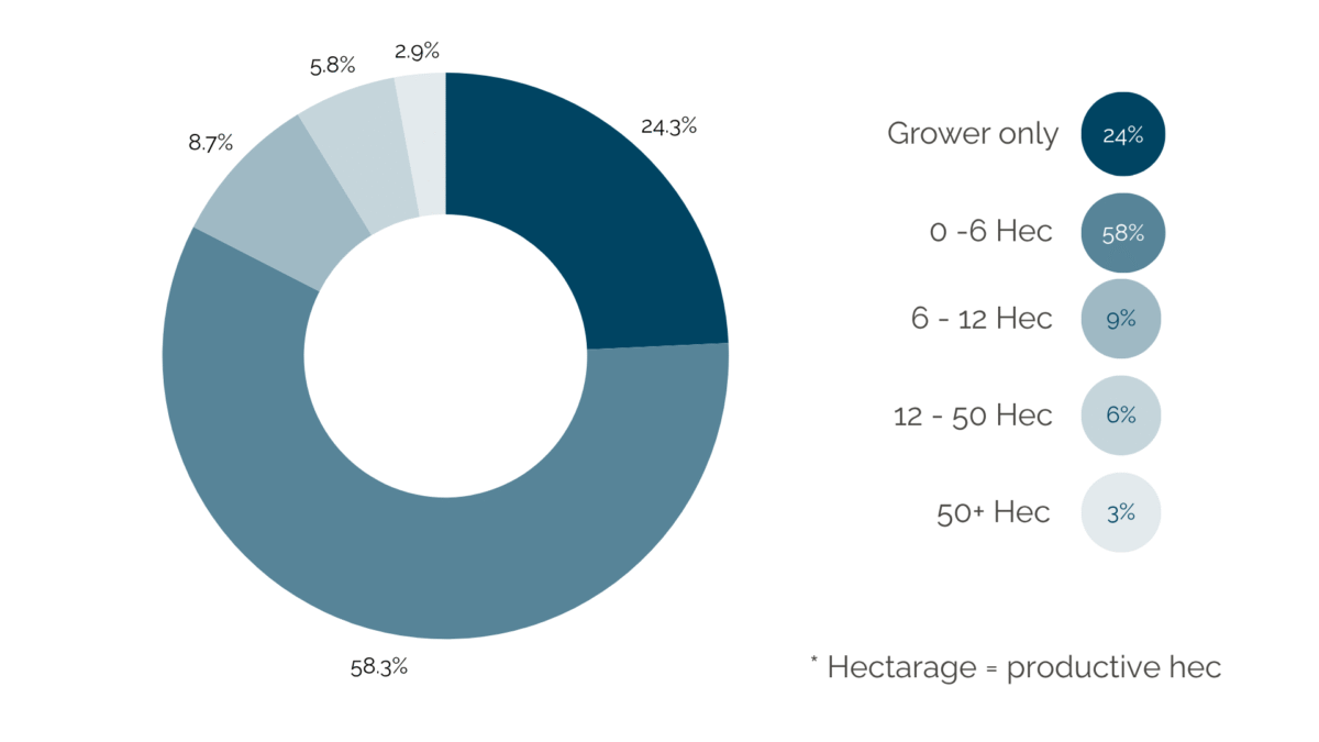 Membership demographics