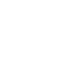 White pie percentage icon