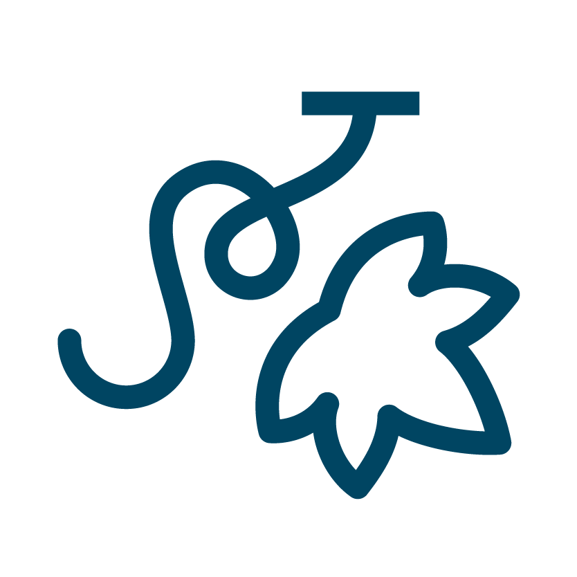 Vine icon