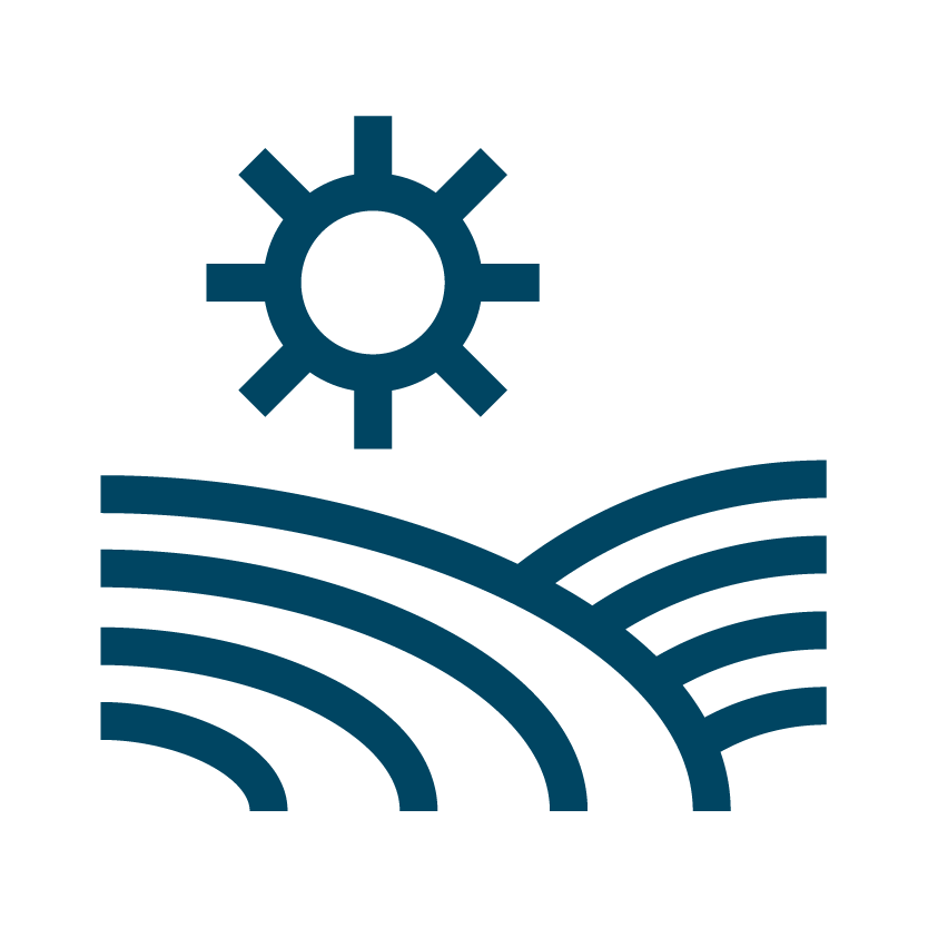 Vineyard and sun icon